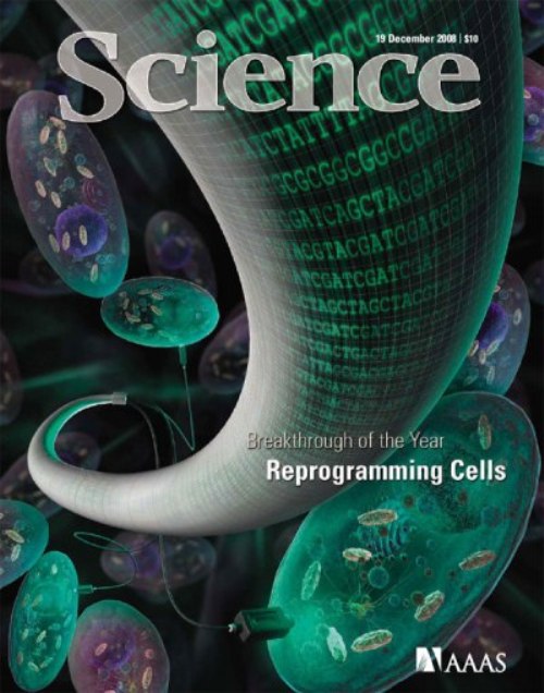 Обложка журнала Science от 19 декабря 2008 года: «Прорыв года — перепрограммирование клеток»