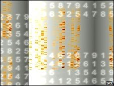Способность понимать числа может быть заложена в ДНК 