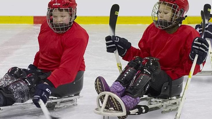 Фото: playsledgehockey.ru