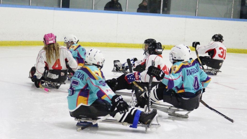 Фото: facebook.com/paraicehockey.ru/