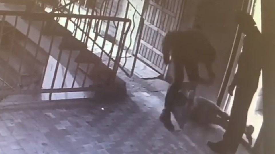 Фото: кадр из видео ГУ МВД по Санкт-Петербургу и Ленинградской области