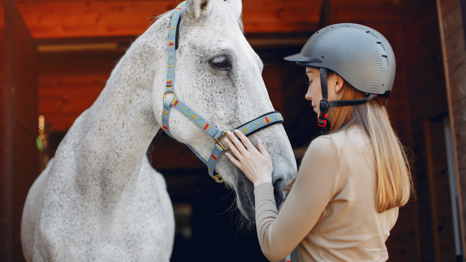 <a href=https://ru.freepik.com/free-photo/beautiful-woman-standing-with-a-horse_5251328.htm>Изображение от prostooleh на Freepik</a>
