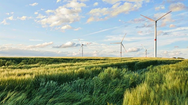 <a href=https://ru.freepik.com/free-photo/beautiful-shot-of-wind-turbines-under-the-cloudy-sky-in-the-eiffel-region-germany_9184578.htm>Изображение от wirestock на Freepik</a>