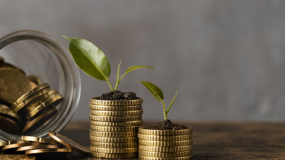 <a href=https://ru.freepik.com/free-photo/front-view-of-two-stacks-of-coins-with-jar-and-plants_11764443.htm>Изображение от Freepik</a>