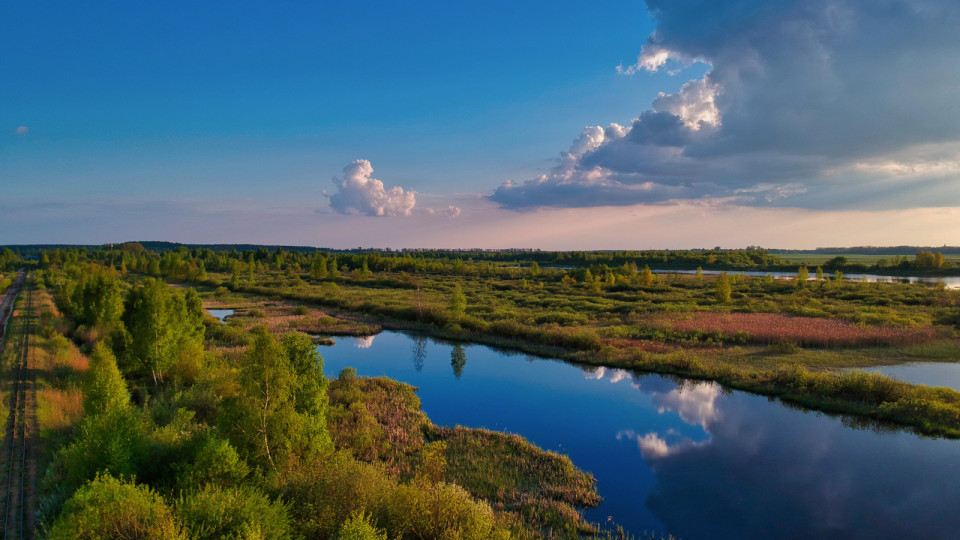 <a href=https://ru.freepik.com/free-photo/vid-s-vozdukha-na-ozero-s-zelenymi-derev-ami_14257838.htm>Изображение от wirestock на Freepik</a>